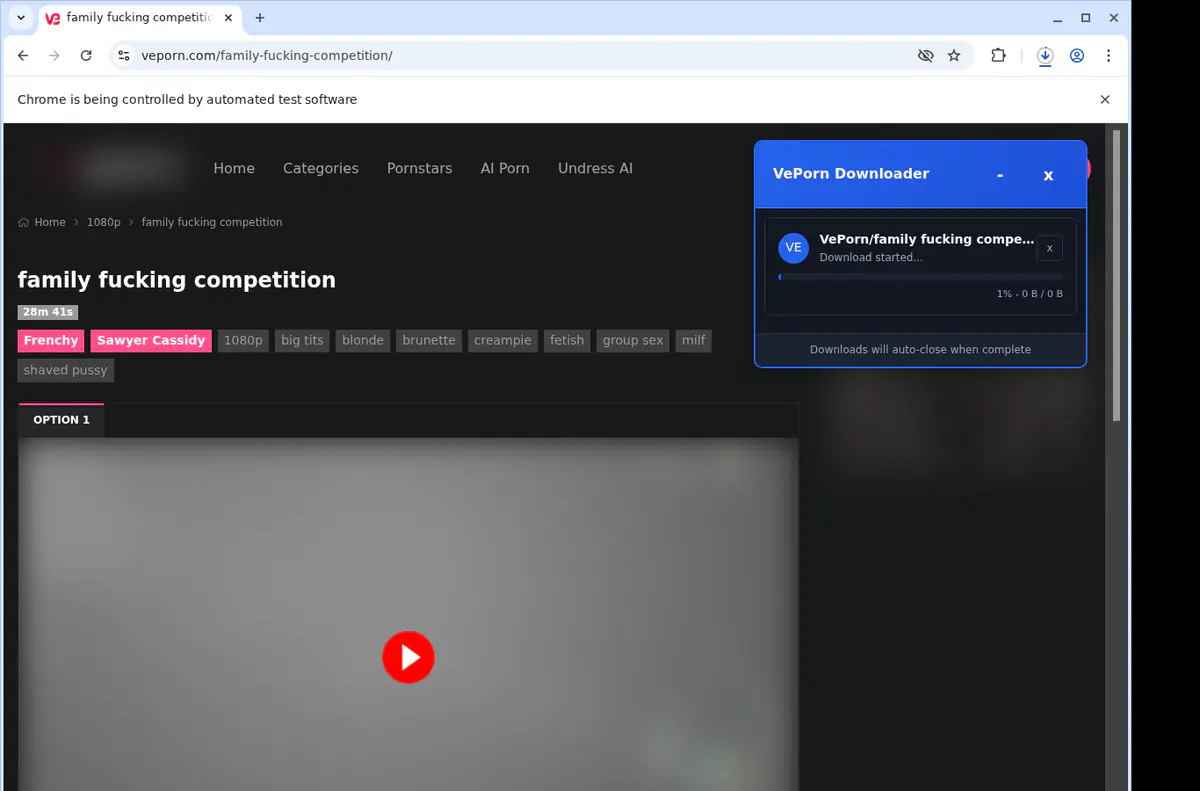 Veporn Video Downloader browser extension screenshot 3