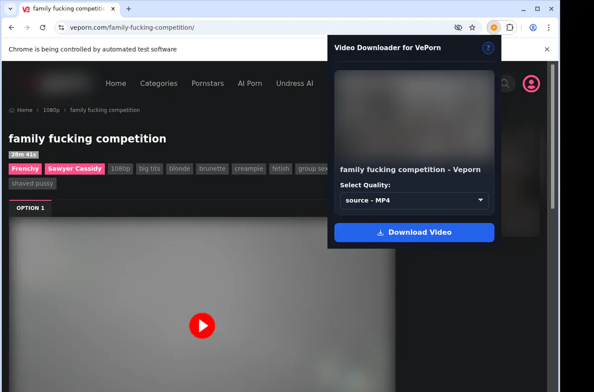 Veporn Video Downloader browser extension screenshot 4